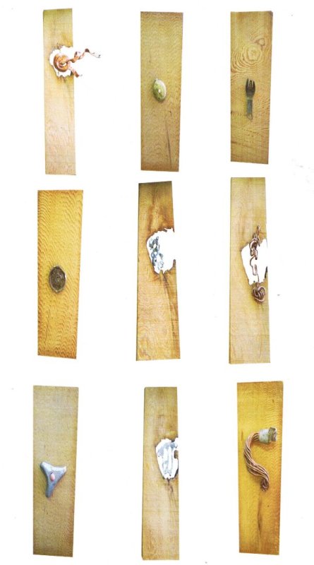 画像1: サンプル８ (1)